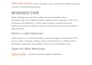 write SEO optimized blog posts and articles for your brand